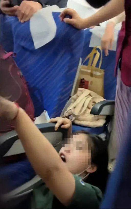 皇冠信用网怎么代理_“他还是孩子皇冠信用网怎么代理，你就不能体谅他吗？”疑因熊孩子顶座起冲突，飞机降落后女生被对方一家四口打趴