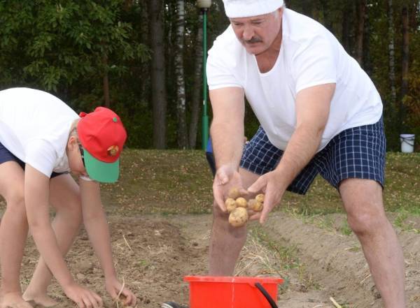 雪兰莪vs丁加奴_卢卡申科：我要带土豆去中国雪兰莪vs丁加奴，送给各国领导人