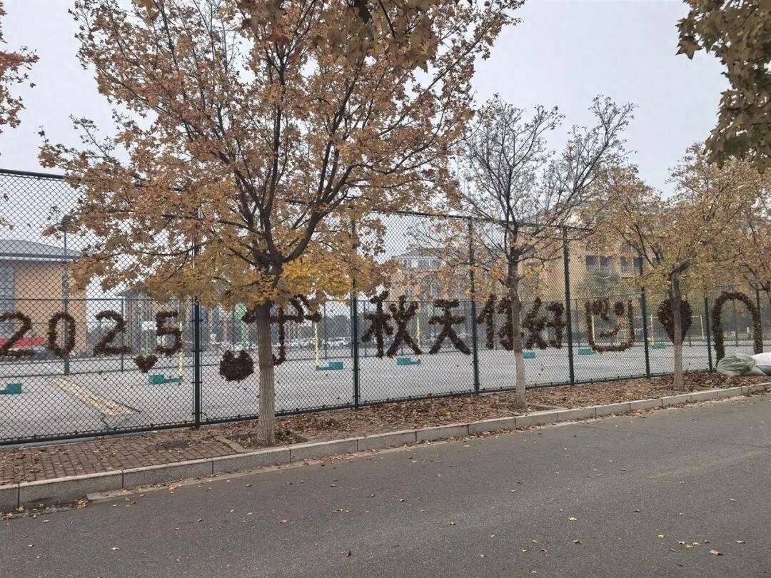 皇冠信用网怎么申请_河南一医学院学生用落叶在篮球场铁网上插出心肝肺胃、注射器等图案皇冠信用网怎么申请，学校：秋日限定浪漫