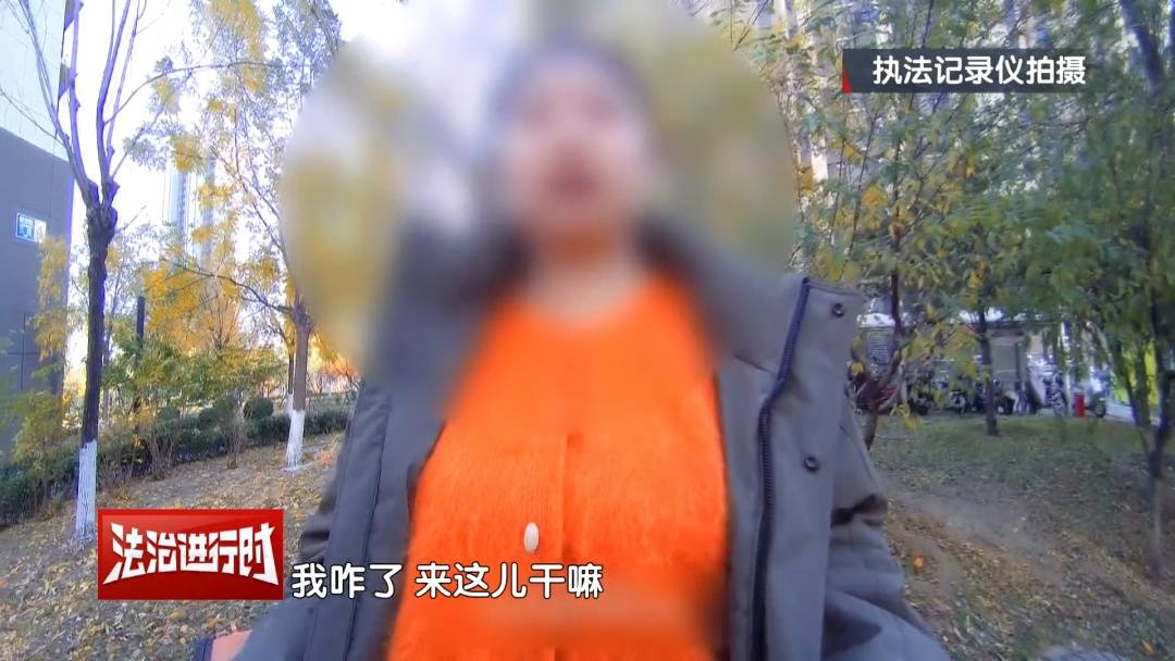 皇冠信用网代理_北京警方刑拘4人：父亲带着儿子和女儿“扫楼式盗窃快递”